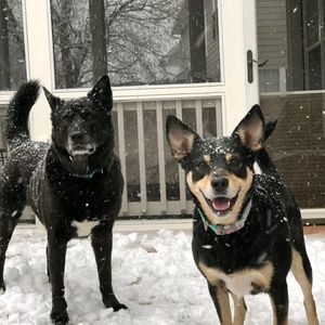 Meet your Posher, Ellen